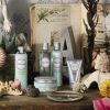A apetitosa linha Aloe Vera & Prickly Pear garante uma maior hidratação e frescura de longa duração